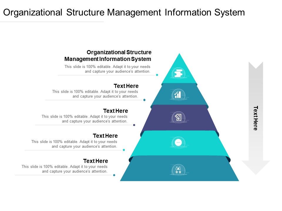 Organizational_Structure_Management_Information_System_Ppt_PowerPoint_Presentation_Model_Portrait_Cpb_Pdf_Slide_1.jpg