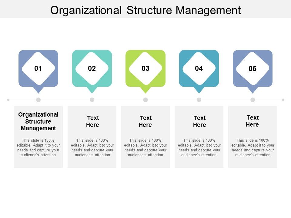 Organizational_Structure_Management_Ppt_PowerPoint_Presentation_Inspiration_Deck_Cpb_Slide_1.jpg