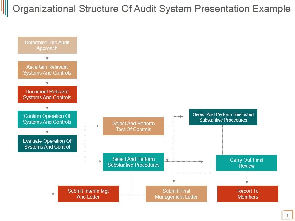 Organizational_Structure_Of_Audit_System_Ppt_PowerPoint_Presentation_Samples_Slide_1.jpg