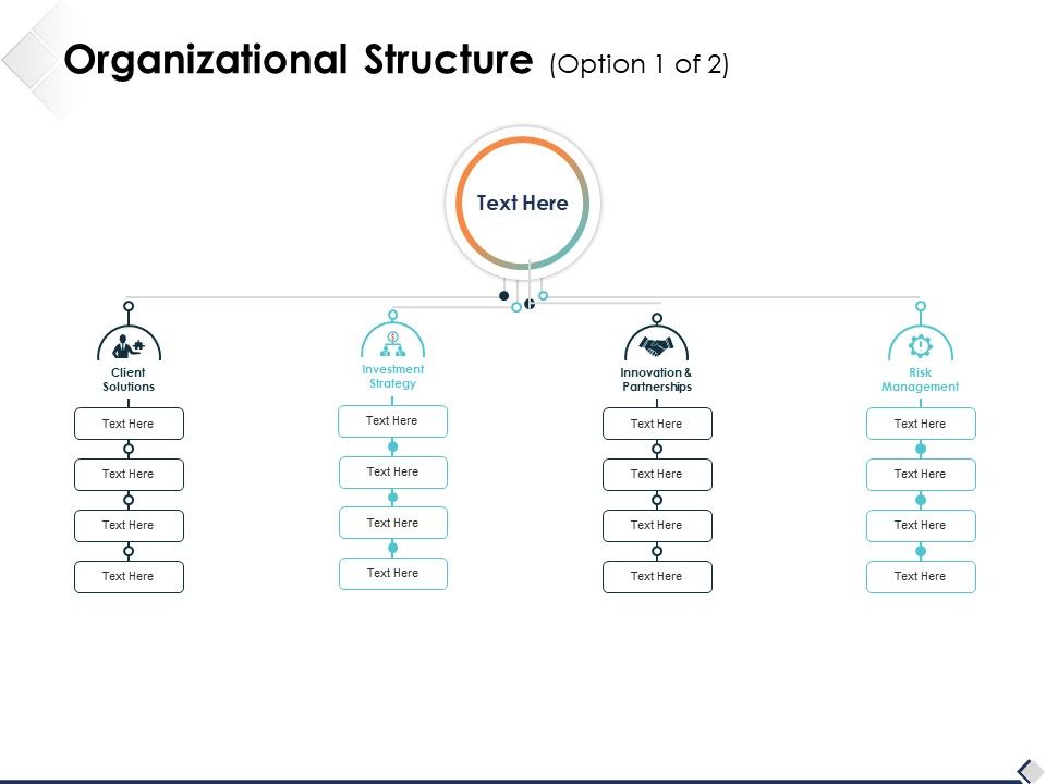 Organizational_Structure_Option_1_Of_2_Ppt_PowerPoint_Presentation_Pictures_Themes_Slide_1.jpg