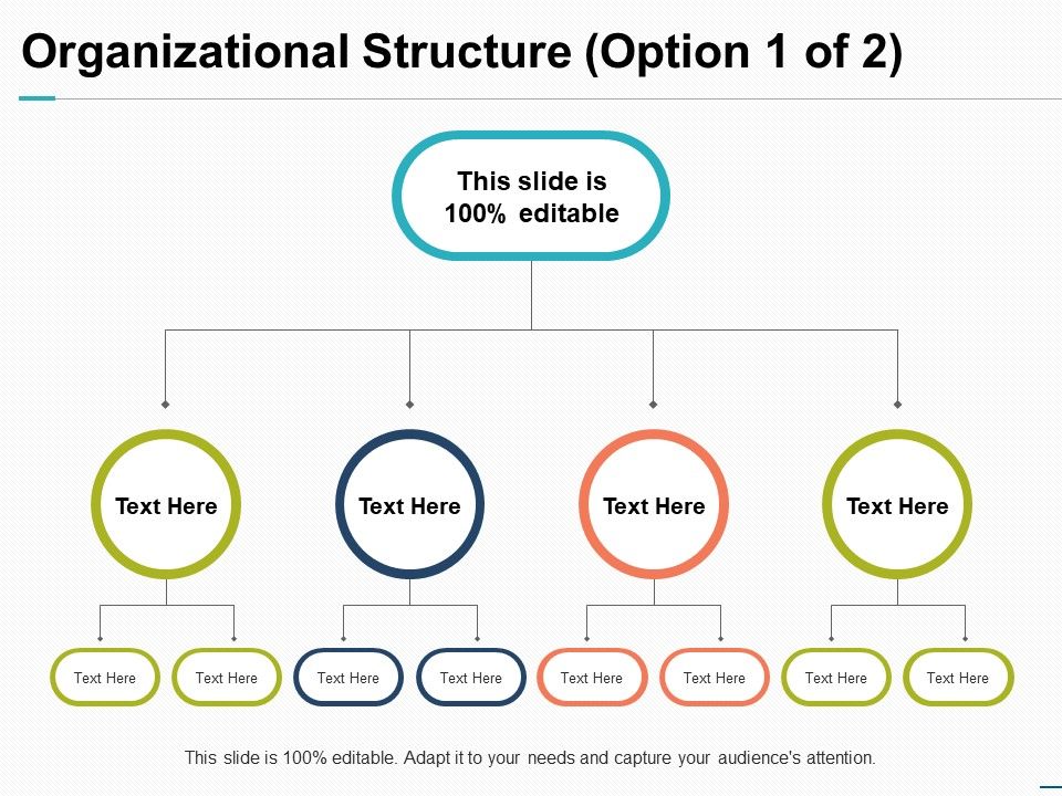 Organizational_Structure_Option_Business_Ppt_PowerPoint_Presentation_Show_Slide_1.jpg