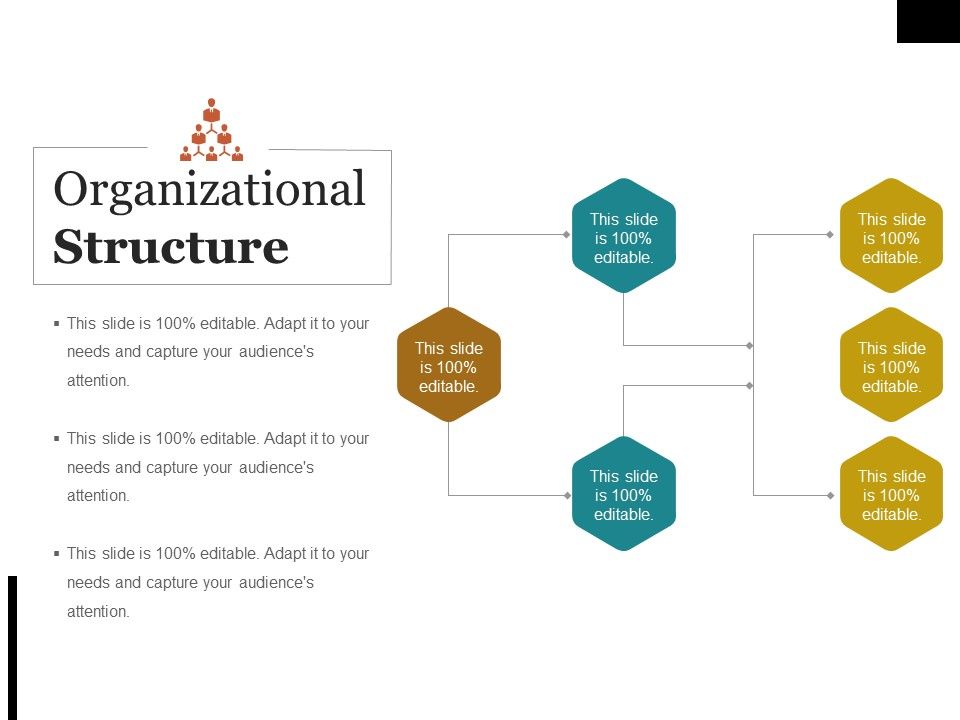Organizational_Structure_Ppt_PowerPoint_Presentation_Summary_Brochure_Slide_1.jpg