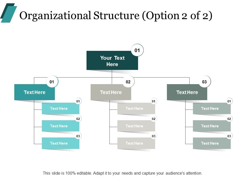 Organizational_Structure_Process_Ppt_PowerPoint_Presentation_Portfolio_Graphic_Images_Slide_1.jpg