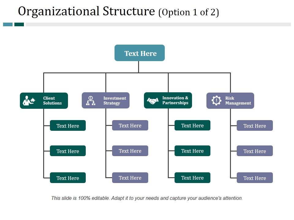 Organizational_Structure_Template_1_Ppt_PowerPoint_Presentation_Ideas_Graphic_Images_Slide_1.jpg