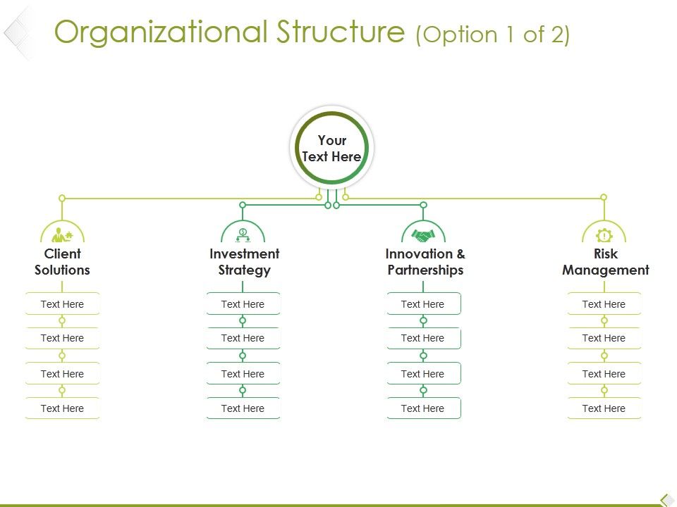 Organizational_Structure_Template_1_Ppt_PowerPoint_Presentation_Infographics_Files_Slide_1.jpg