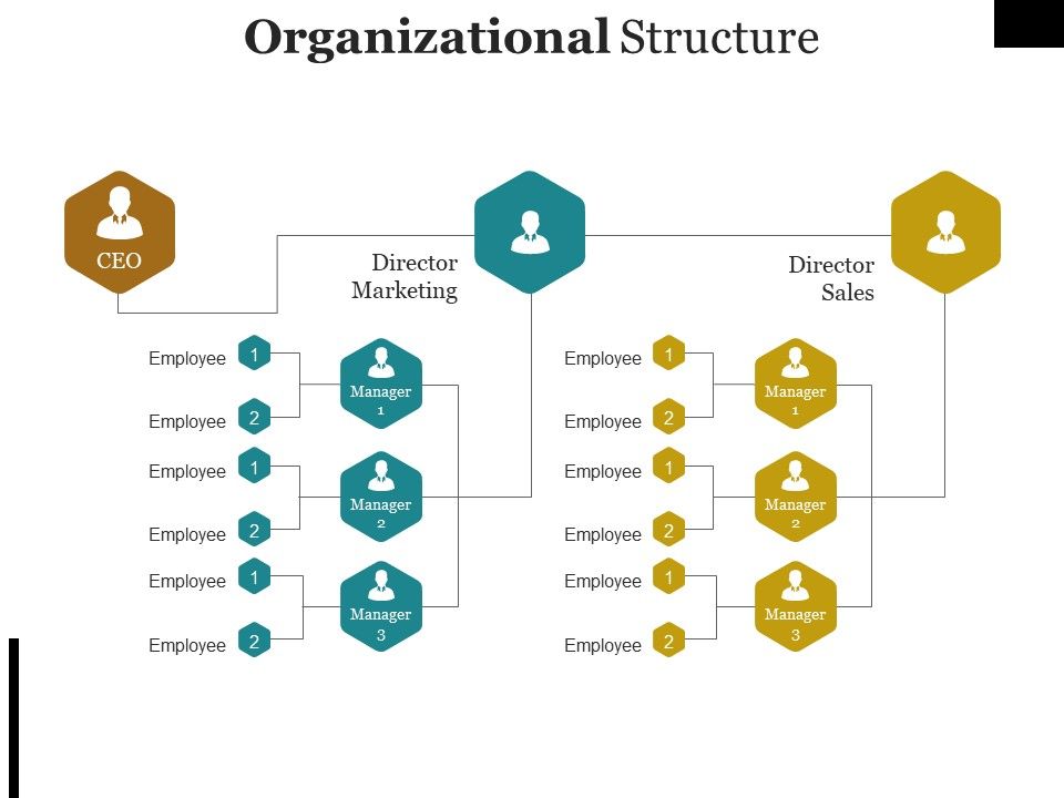 Organizational_Structure_Template_Ppt_PowerPoint_Presentation_File_Graphics_Tutorials_Slide_1.jpg