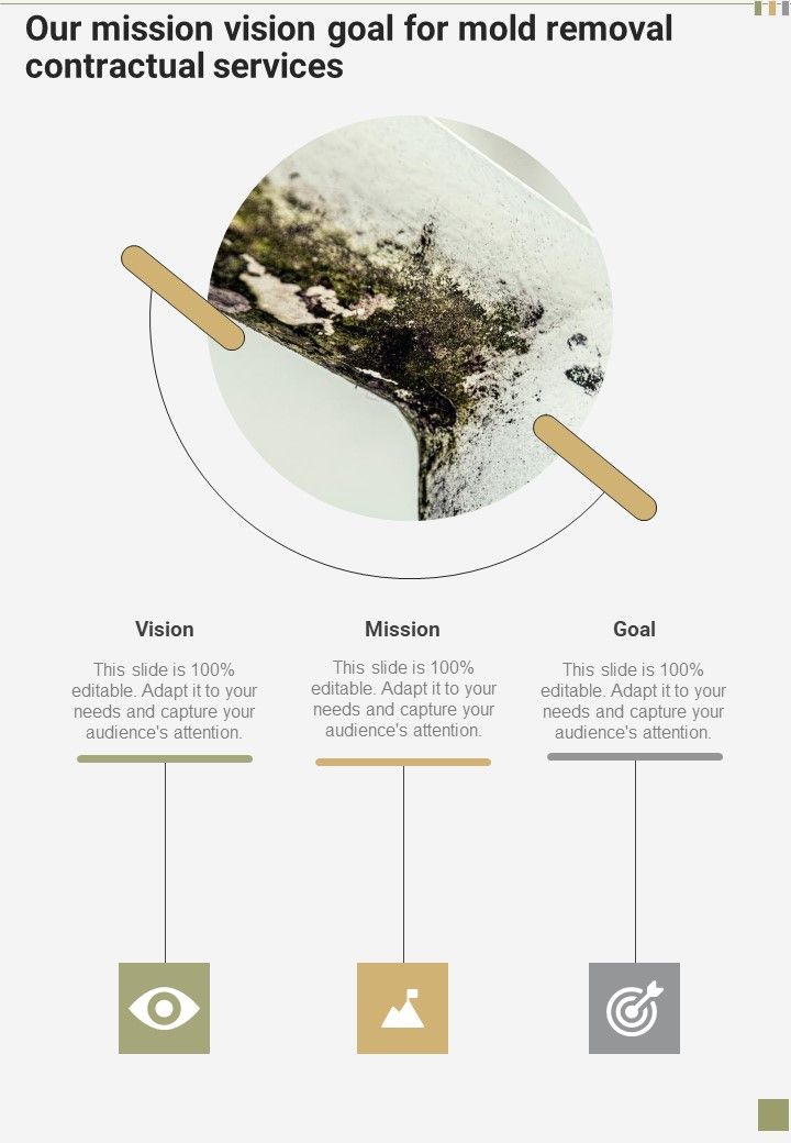 Our_Mission_Vision_Goal_For_Mold_Removal_Contractual_Services_One_Pager_Sample_Example_Document_Slide_1.jpg