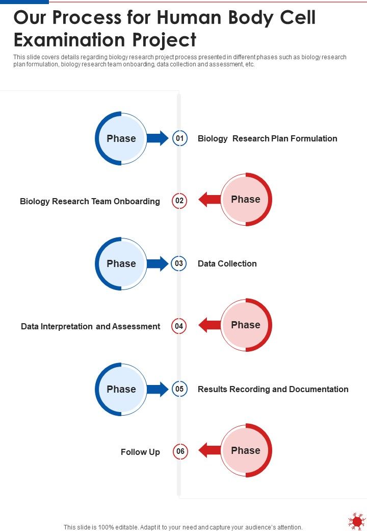 Our Process For Human Body Cell Examination Project One Pager Sample Example Document Slide01