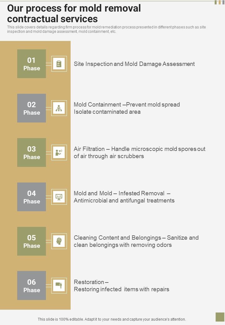 Our_Process_For_Mold_Removal_Contractual_Services_One_Pager_Sample_Example_Document_Slide_1.jpg
