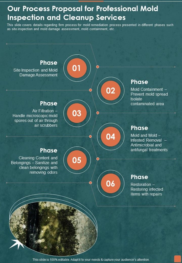 Our Process Proposal For Professional Mold Inspection And Cleanup Services One Pager Sample Example Document Slide01