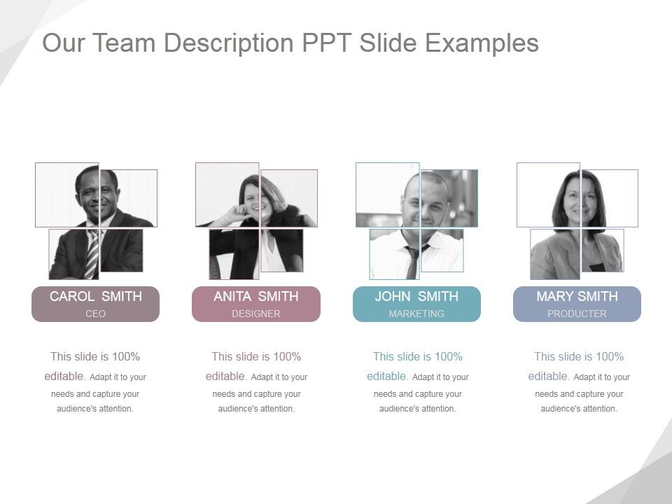 Our_Team_Description_Ppt_PowerPoint_Presentation_Visual_Aids_Slide_1.jpg