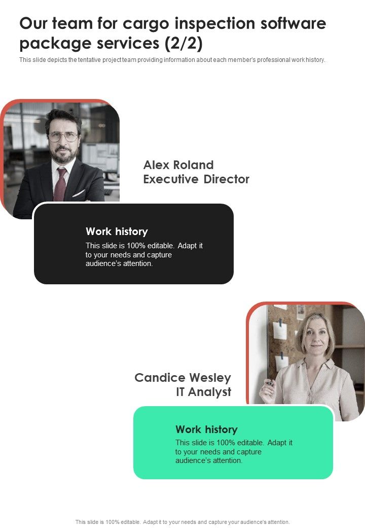 Our Team For Cargo Inspection Software Package Services One Pager Sample Example Document