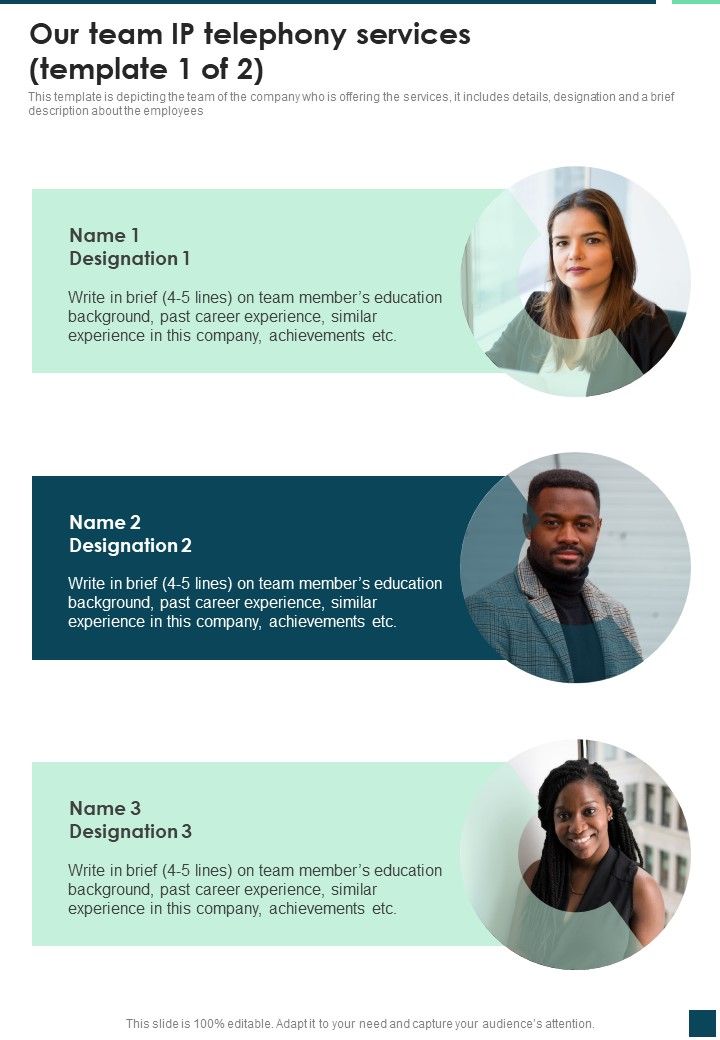 Our Team IP Telephony Services One Pager Sample Example Document Slide01