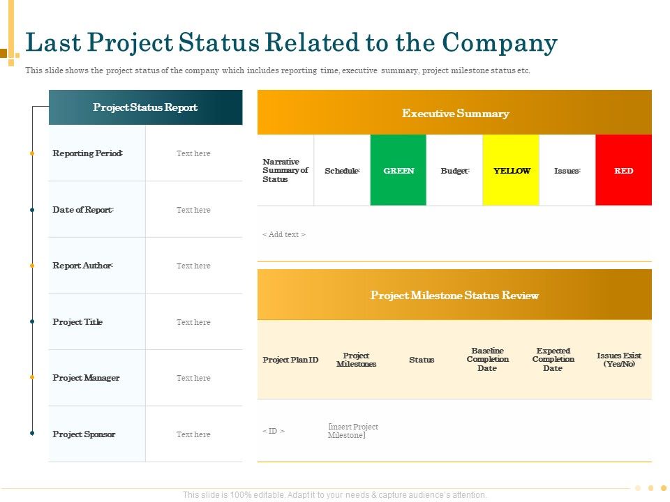 Outsource_Bookkeeping_Service_Manage_Financial_Transactions_Last_Project_Status_Related_To_The_Company_Portrait_PDF_Slide_1.jpg