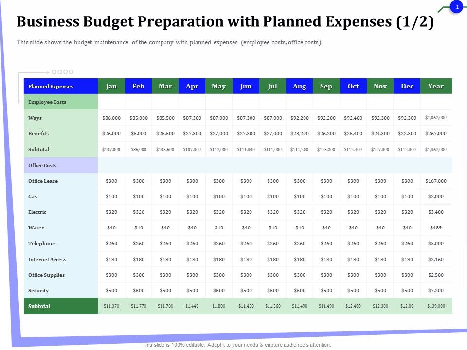 Outsourcing_Finance_Accounting_Processes_Business_Budget_Preparation_With_Planned_Expenses_Wages_Background_PDF_Slide_1.jpg