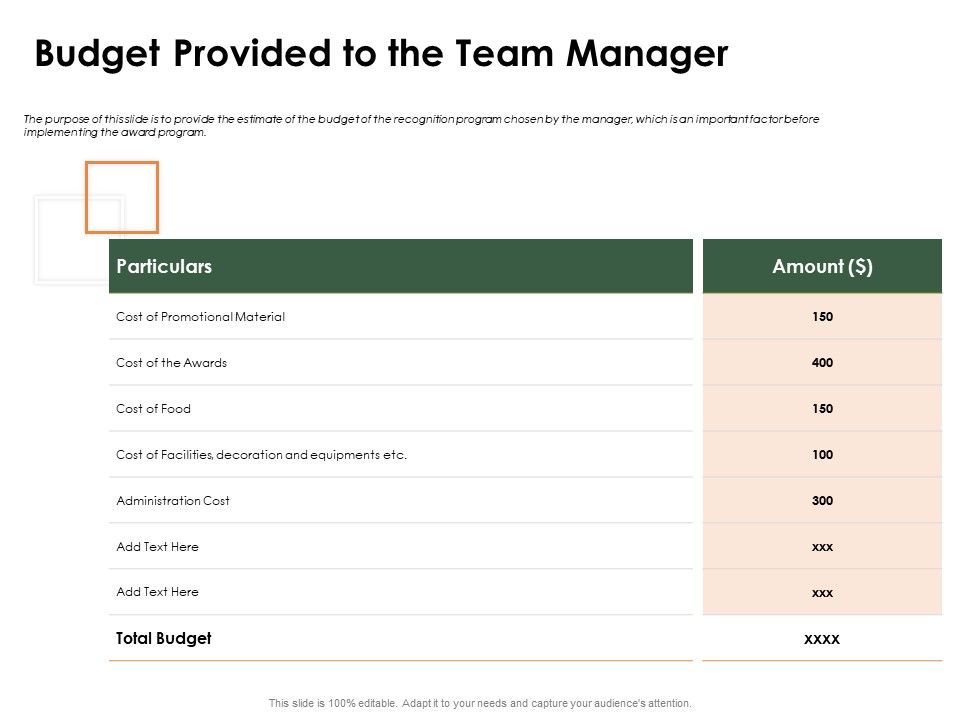 Outstanding_Employee_Budget_Provided_To_The_Team_Manager_Ppt_Styles_Slide_PDF_Slide_1.jpg