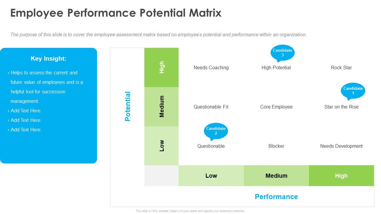 Outstanding_Employee_Employee_Performance_Potential_Matrix_Ppt_Inspiration_Files_PDF_Slide_1.jpg