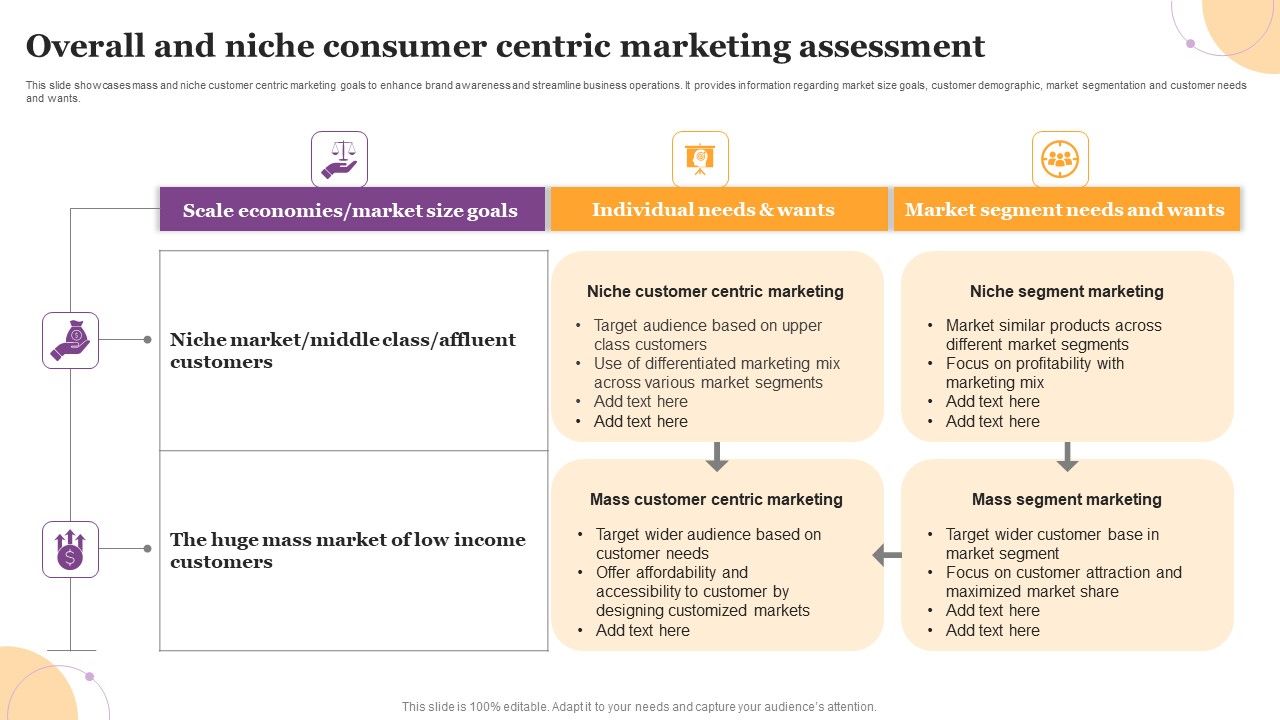 Overall_And_Niche_Consumer_Centric_Marketing_Assessment_Introduction_PDF_Slide_1.jpg