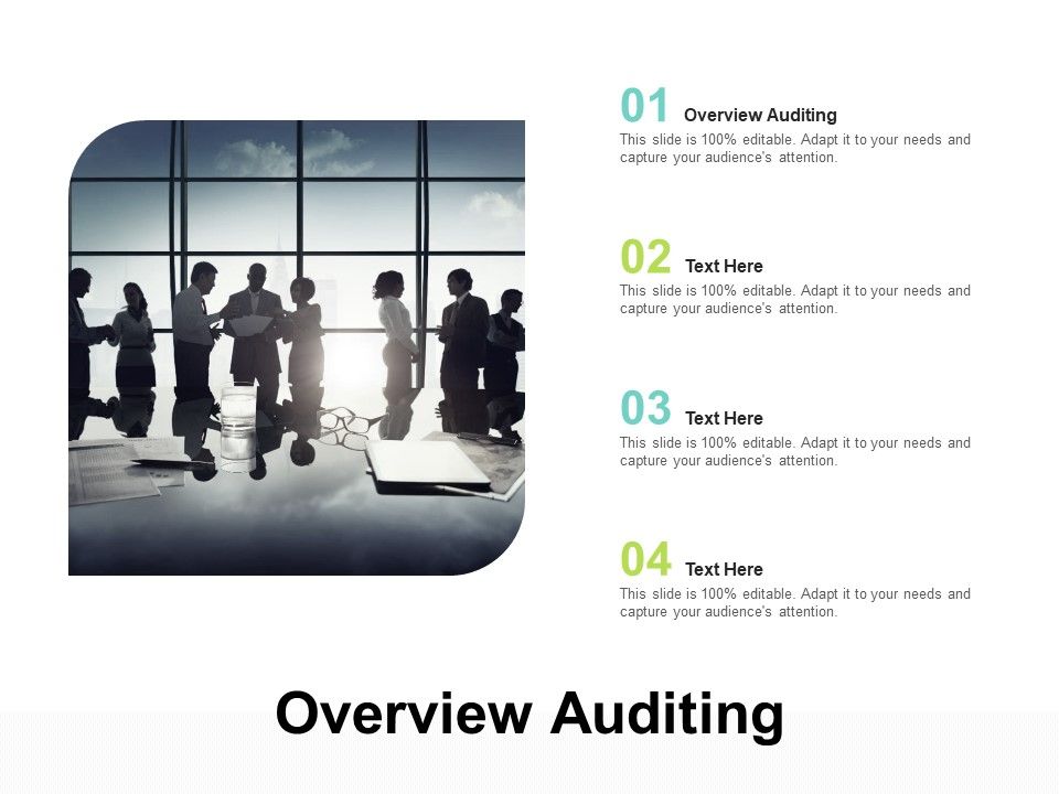 Overview_Auditing_Ppt_PowerPoint_Presentation_Outline_Guidelines_Cpb_Pdf_Slide_1.jpg