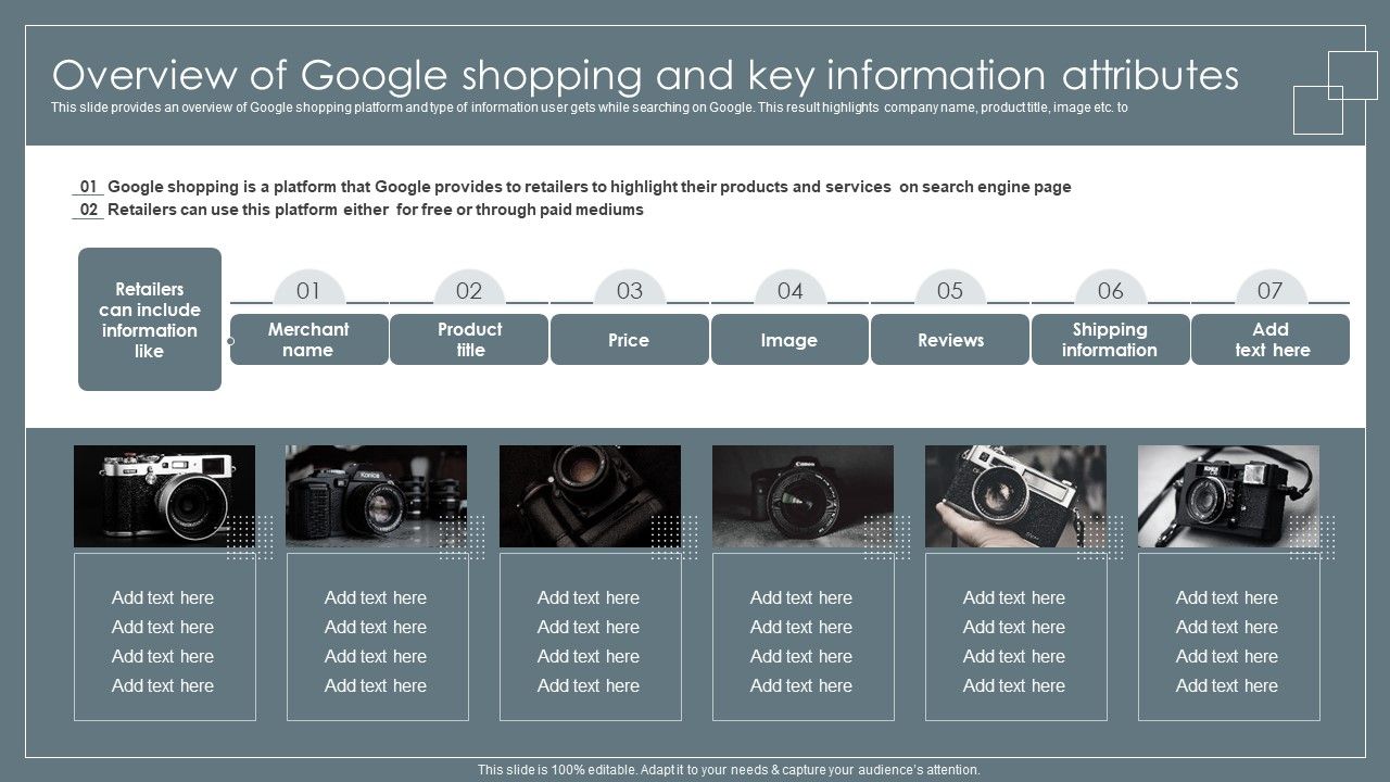 Overview_Of_Google_Shopping_And_Key_Information_Attributes_Retail_Business_Growth_Marketing_Techniques_Summary_PDF_Slide_1.jpg