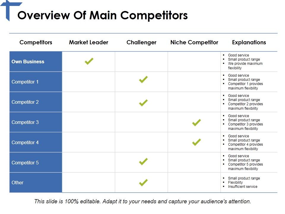 Overview_Of_Main_Competitors_Ppt_PowerPoint_Presentation_Summary_Example_File_Slide_1.jpg