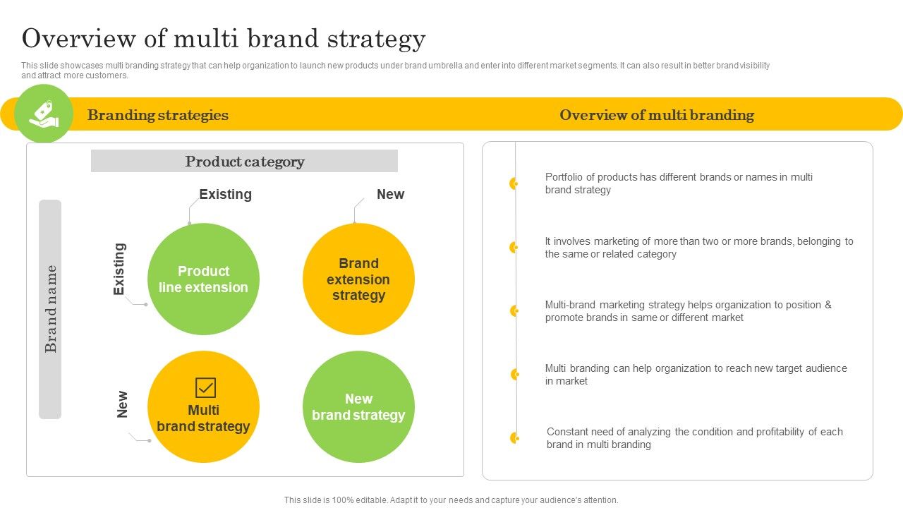 Overview_Of_Multi_Brand_Strategy_Mockup_PDF_Slide_1.jpg
