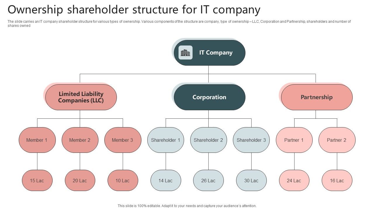 Ownership_Shareholder_Structure_For_It_Company_Guidelines_PDF_Slide_1.jpg