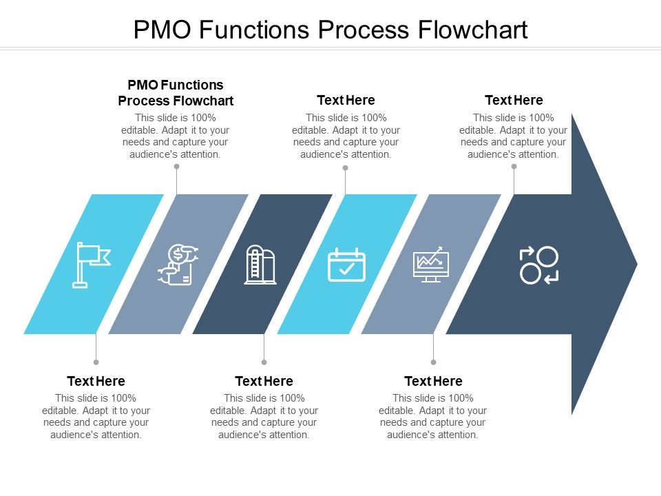 PMO_Functions_Process_Flowchart_Ppt_PowerPoint_Presentation_Layouts_Slide_Portrait_Cpb_Pdf_Slide_1.jpg