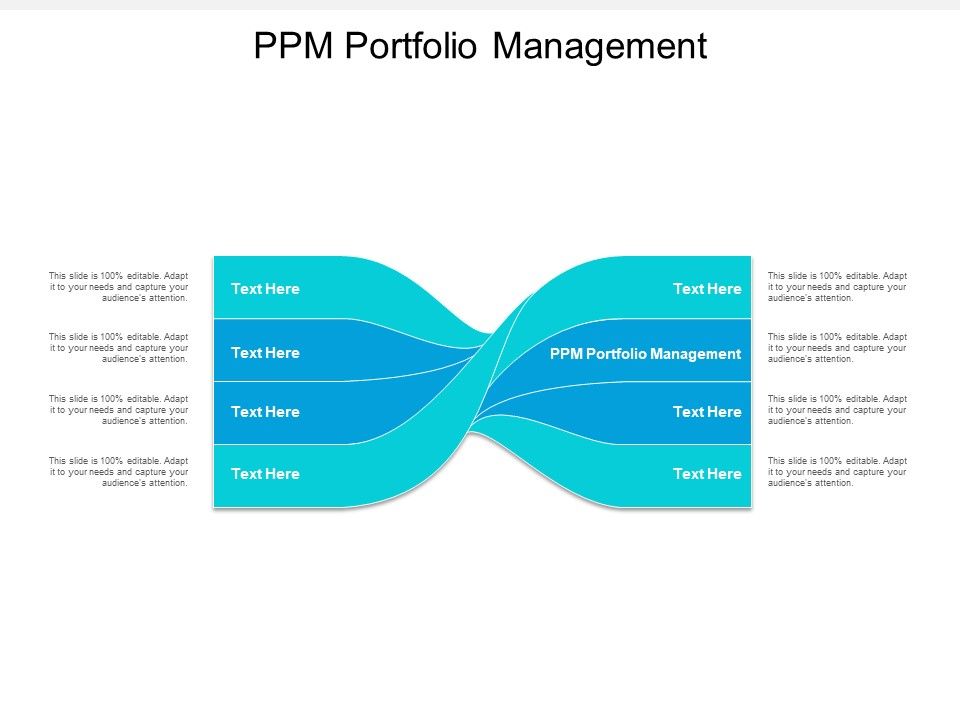 PPM_Portfolio_Management_Ppt_PowerPoint_Presentation_Background_Images_Cpb_Slide_1.jpg