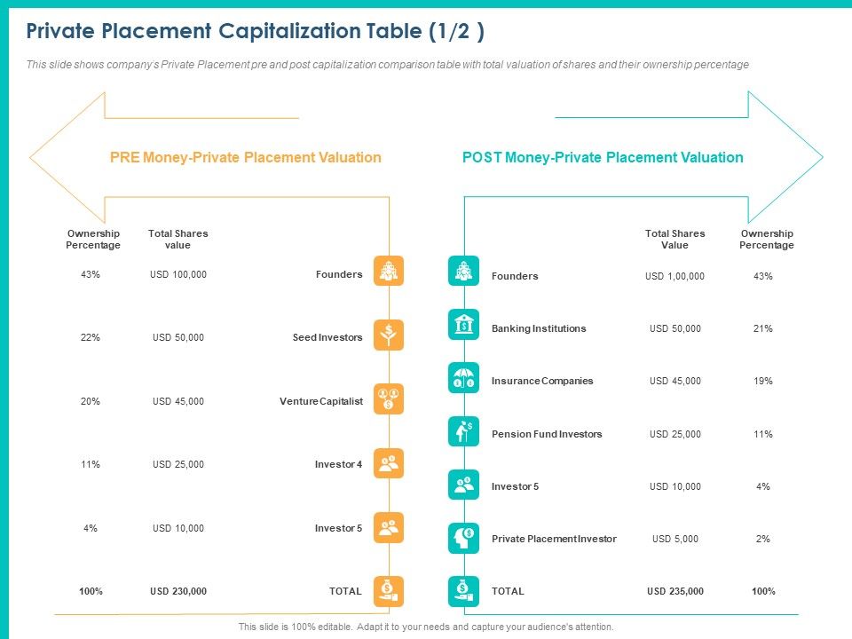 PPM_Private_Equity_Private_Placement_Capitalization_Table_Ppt_PowerPoint_Presentation_Infographic_Template_Model_PDF_Slide_1.jpg