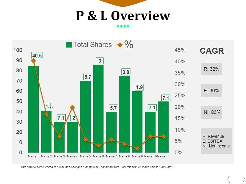 P_And_L_Overview_Ppt_PowerPoint_Presentation_Styles_Summary_Slide_1.jpg