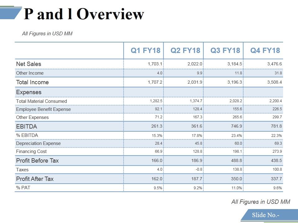 P_And_L_Overview_Template_2_Ppt_PowerPoint_Presentation_Model_Elements_Slide_1.jpg