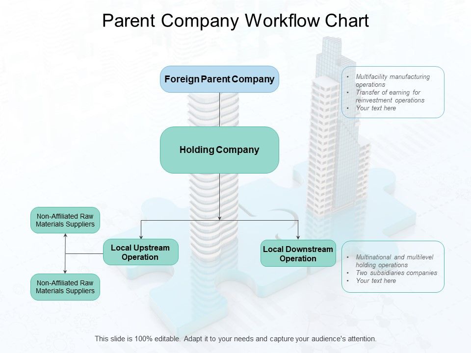 Parent_Company_Workflow_Chart_Ppt_PowerPoint_Presentation_Summary_Clipart_Slide_1.jpg
