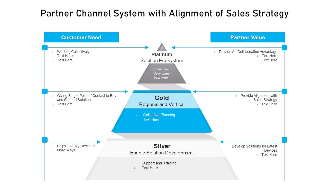 Partner_Channel_System_With_Alignment_Of_Sales_Strategy_Ppt_Slides_Example_Topics_PDF_Slide_1.jpg
