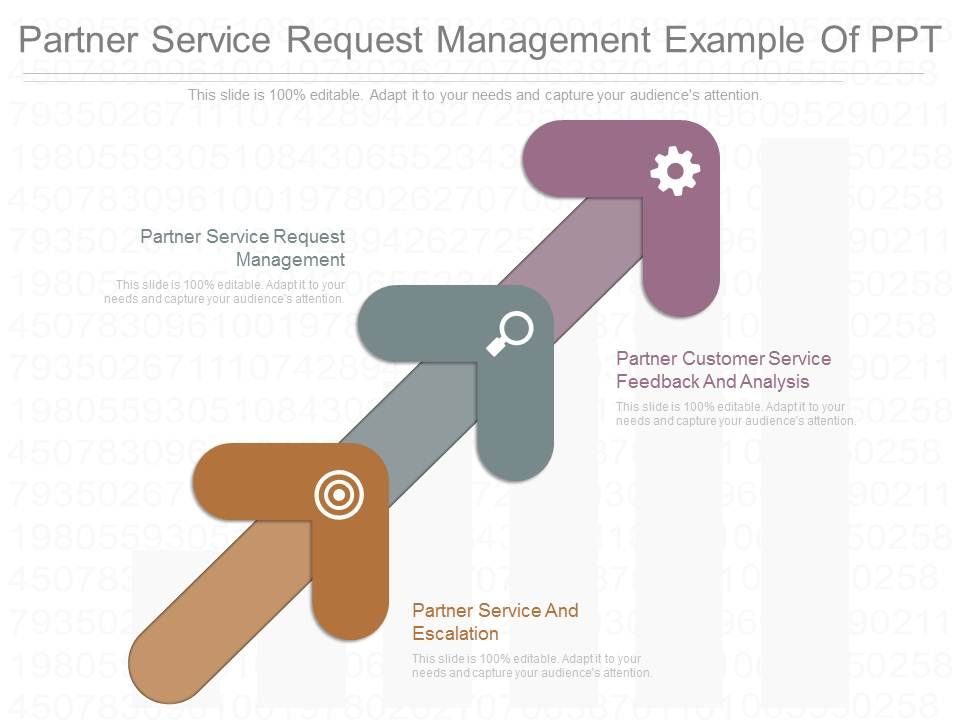 Partner_Service_Request_Management_Example_Of_Ppt_1.jpg
