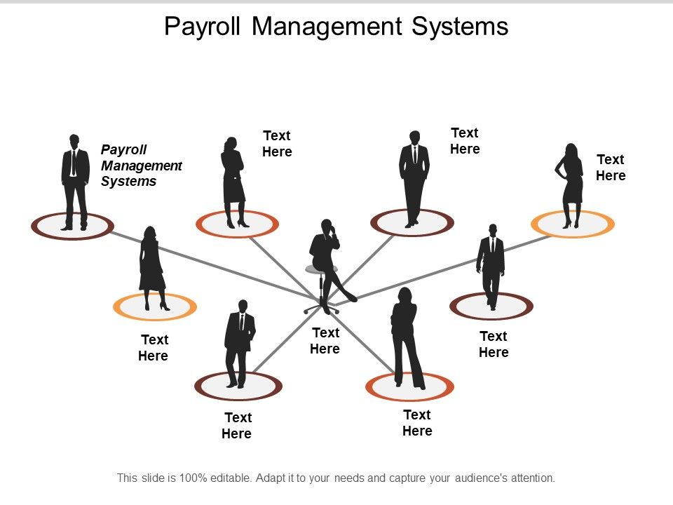 Payroll_Management_Systems_Ppt_PowerPoint_Presentation_Infographic_Template_Display_Slide_1.jpg