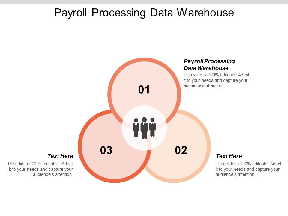 Payroll_Processing_Data_Warehouse_Ppt_PowerPoint_Presentation_Professional_Background_Designs_Cpb_Slide_1.jpg