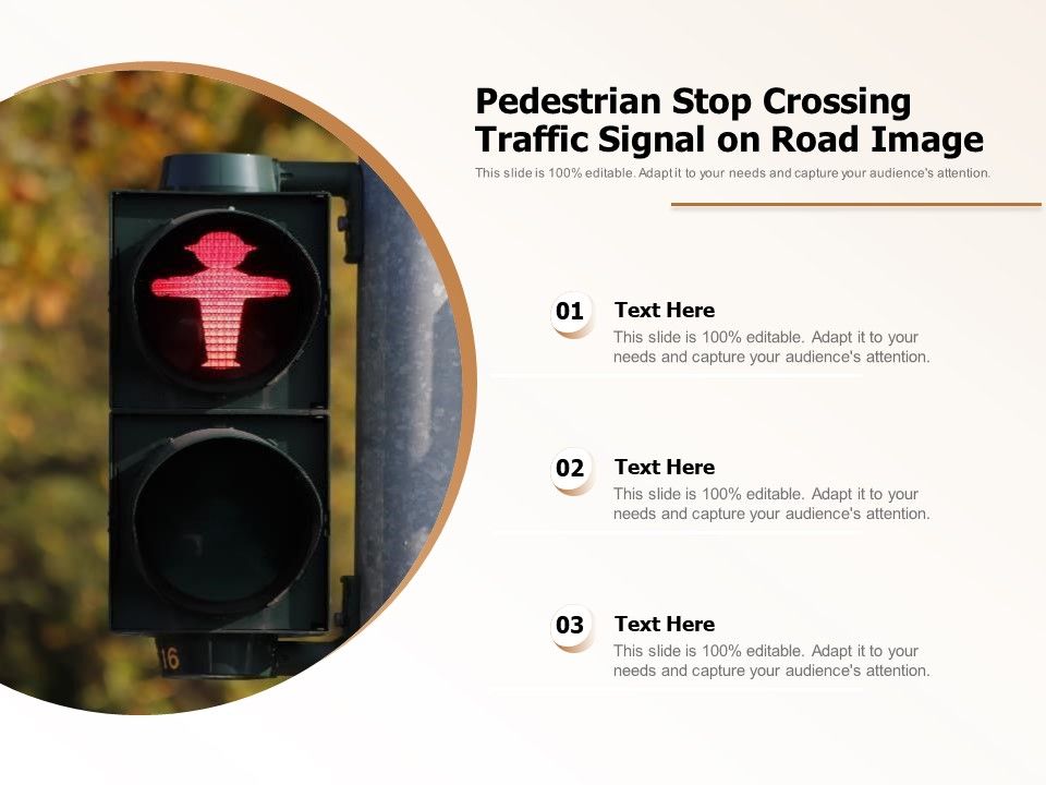 Pedestrian_Stop_Crossing_Traffic_Signal_On_Road_Image_Ppt_PowerPoint_Presentation_File_Background_PDF_Slide_1.jpg