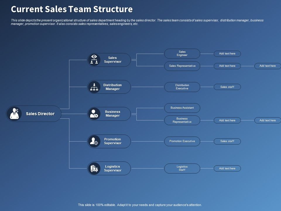 Performance_Assessment_Sales_Initiative_Report_Current_Sales_Team_Structure_Ppt_Professional_Ideas_PDF_Slide_1.jpg
