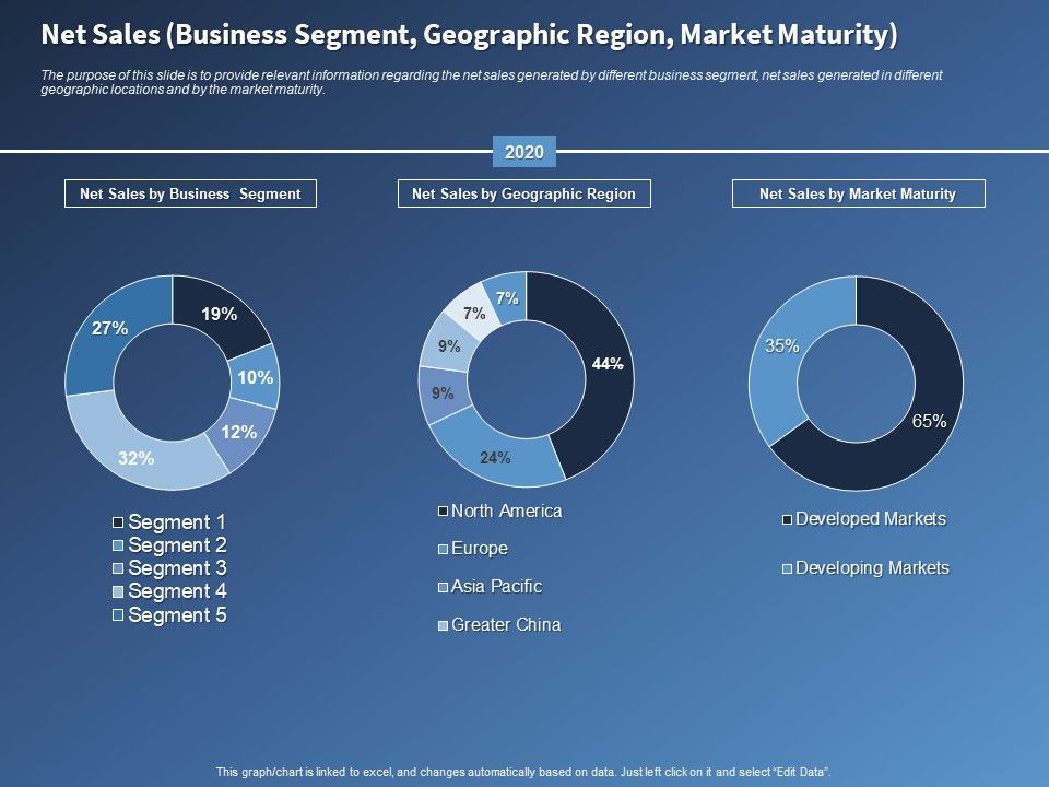 Performance_Assessment_Sales_Initiative_Report_Net_Sales_Business_Segment_Geographic_Region_Market_Maturity_Information_Slide_1.jpg