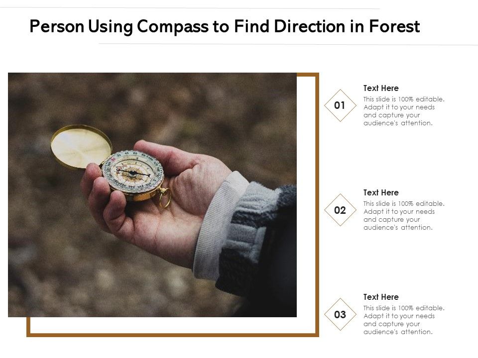 Person_Using_Compass_To_Find_Direction_In_Forest_Ppt_PowerPoint_Presentation_Gallery_Graphics_Template_PDF_Slide_1.jpg
