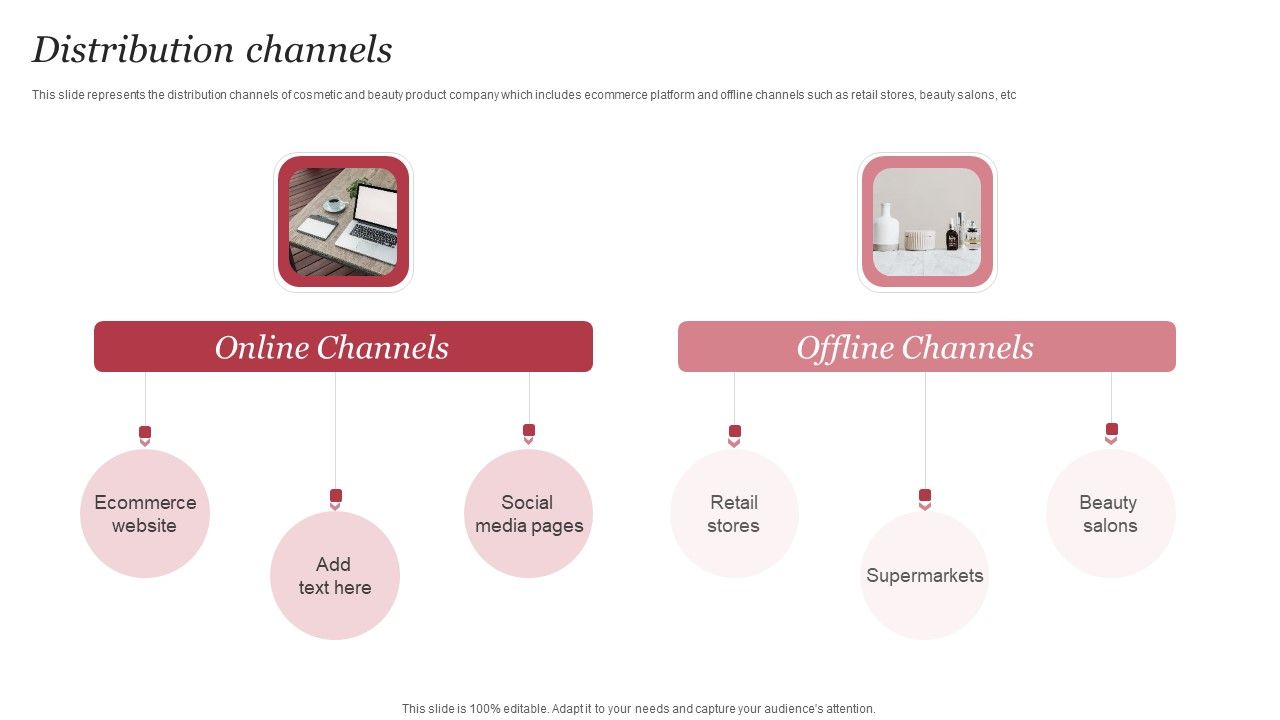 Personal_Care_Company_Profile_Distribution_Channels_Ppt_PowerPoint_Presentation_File_Layouts_PDF_Slide_1.jpg
