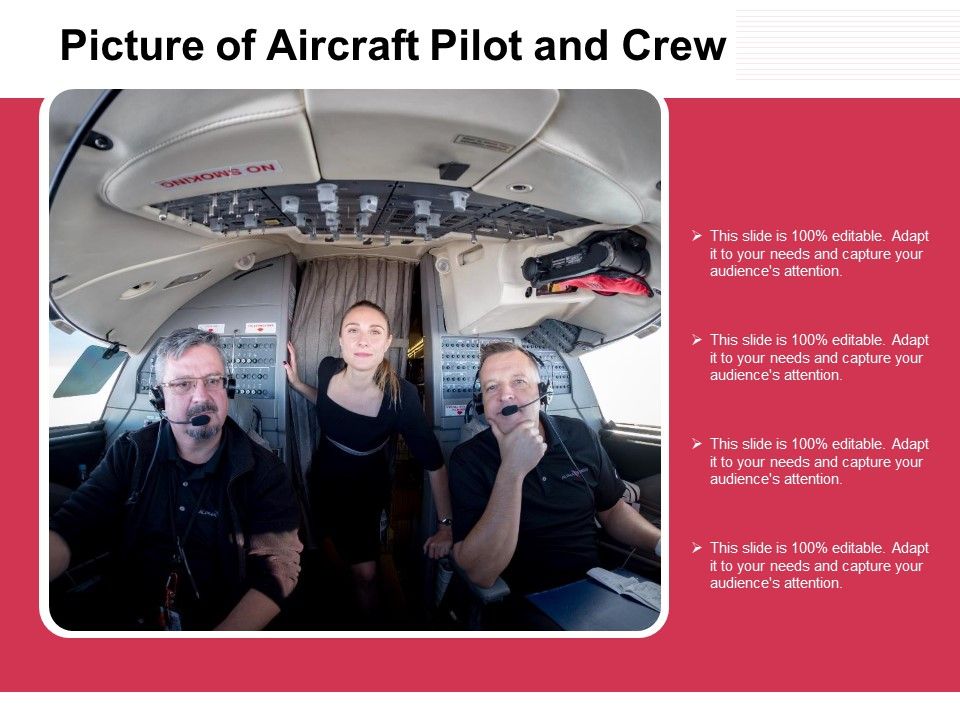 Picture_Of_Aircraft_Pilot_And_Crew_Ppt_PowerPoint_Presentation_Summary_Deck_PDF_Slide_1.jpg