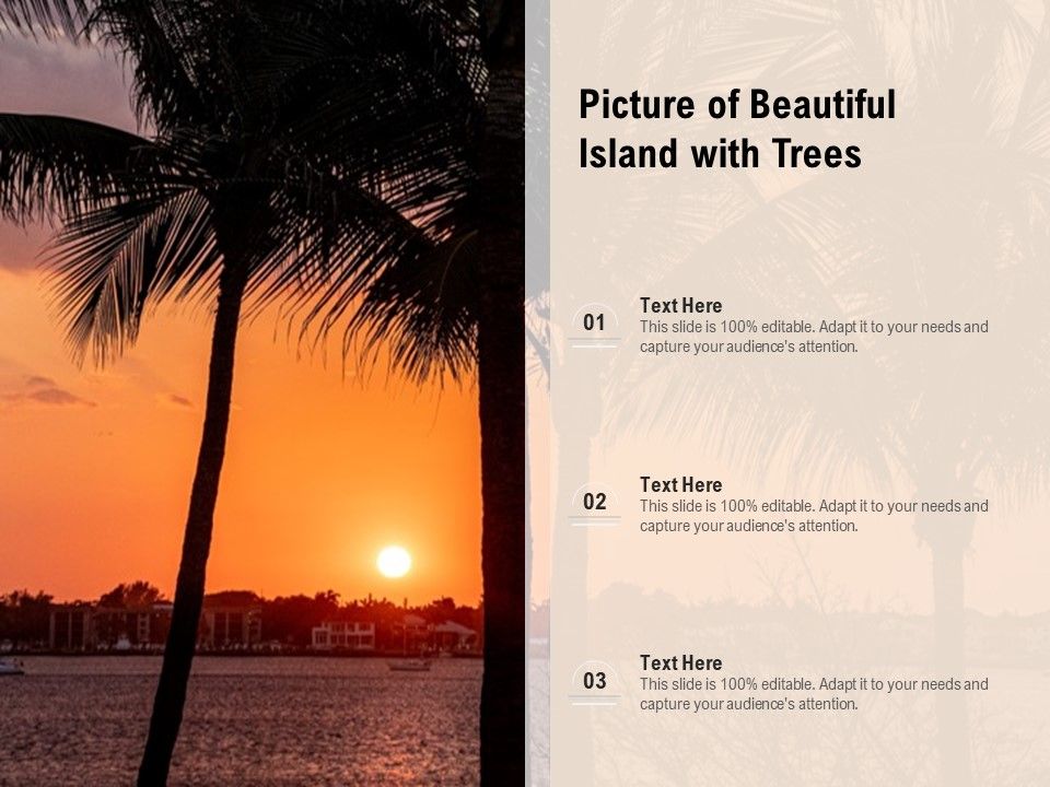 Picture_Of_Beautiful_Island_With_Trees_Ppt_PowerPoint_Presentation_Infographics_Designs_Download_PDF_Slide_1.jpg