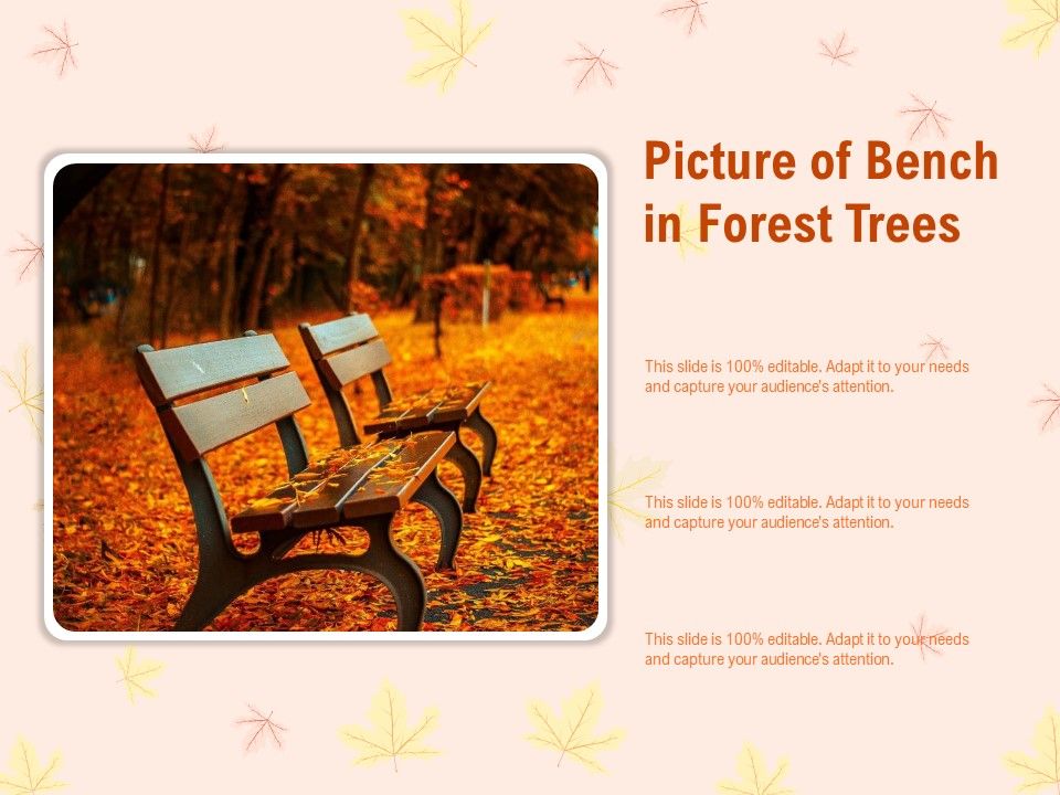 Picture_Of_Bench_In_Forest_Trees_Ppt_PowerPoint_Presentation_Visuals_Slide_1.jpg