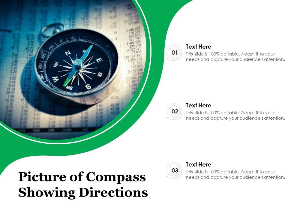Picture_Of_Compass_Showing_Directions_Ppt_PowerPoint_Presentation_File_Formats_PDF_Slide_1.jpg