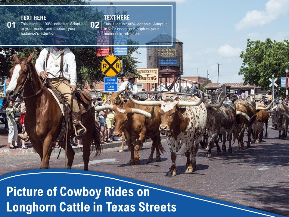 Picture_Of_Cowboy_Rides_On_Longhorn_Cattle_In_Texas_Streets_Ppt_PowerPoint_Presentation_Outline_Display_PDF_Slide_1.jpg