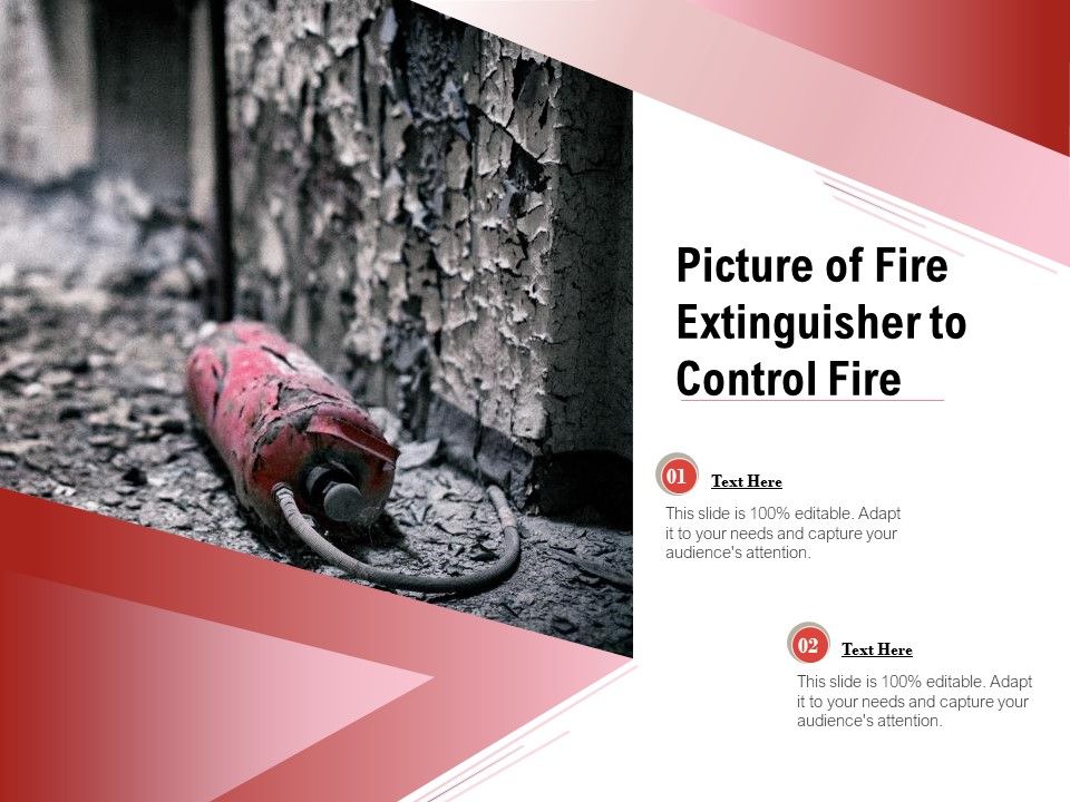 Picture_Of_Fire_Extinguisher_To_Control_Fire_Ppt_PowerPoint_Presentation_Infographic_Template_Slide_Portrait_PDF_Slide_1.jpg