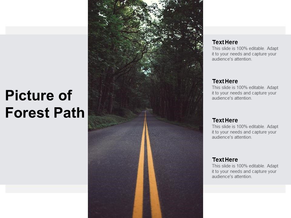 Picture_Of_Forest_Path_Ppt_PowerPoint_Presentation_Portfolio_Examples_Slide_1.jpg
