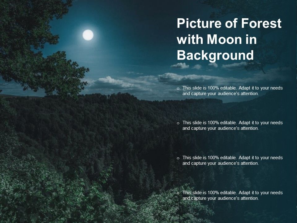 Picture_Of_Forest_With_Moon_In_Background_Ppt_PowerPoint_Presentation_Inspiration_Portrait_Slide_1.jpg